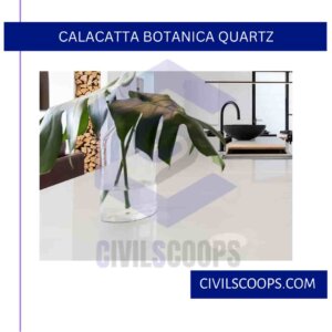 Calacatta Botanica Quartz