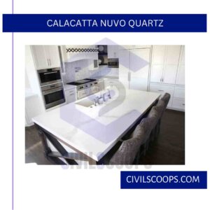 Calacatta Nuvo Quartz