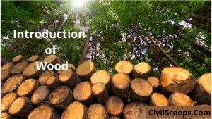 Introduction of Wood