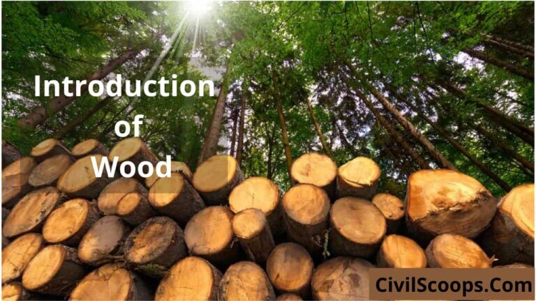 Introduction of Wood