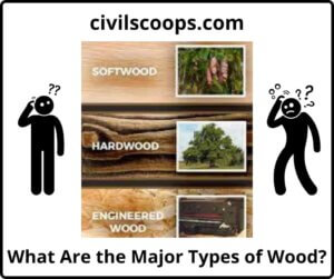 What Are the Major Types of Wood?