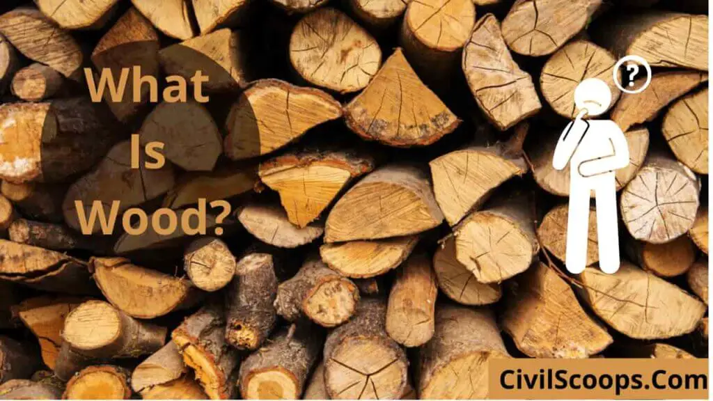What Is Wood?