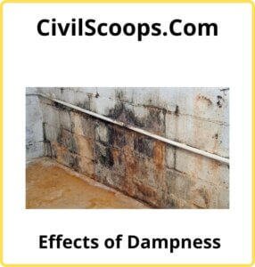 Effects of Dampness