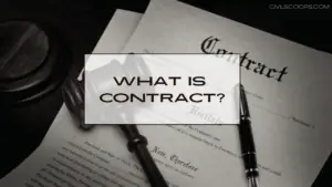 What Is Contract ?