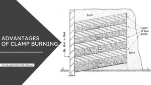 Advantages of Clamp Burning