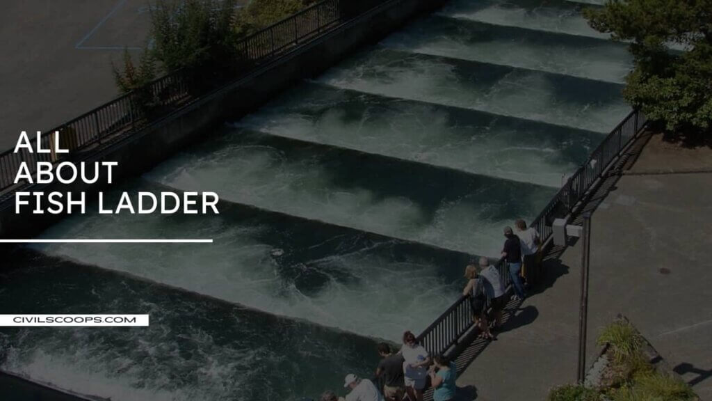 All About Fish Ladder What Is Fish Ladder Types of Fish Ladder