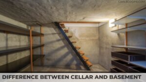 Difference Between Cellar and Basement