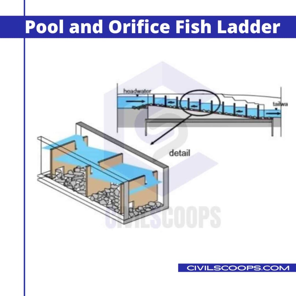 All About Fish Ladder What Is Fish Ladder Types of Fish Ladder