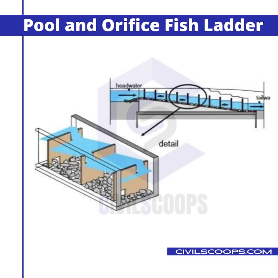 All About Fish Ladder What Is Fish Ladder Types of Fish Ladder