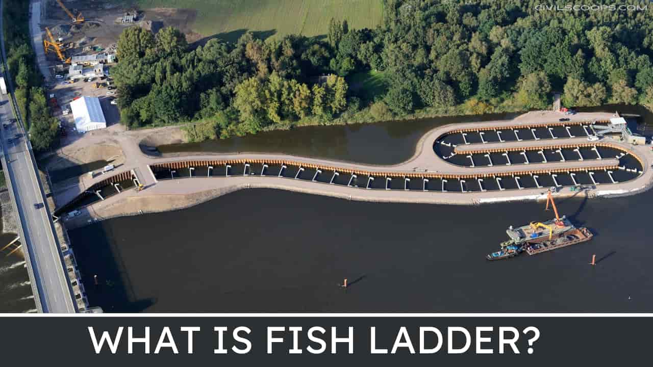 All About Fish Ladder What Is Fish Ladder Types of Fish Ladder