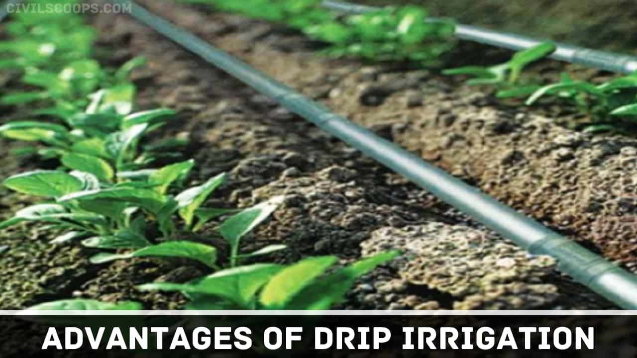 Advantages of Drip Irrigation
