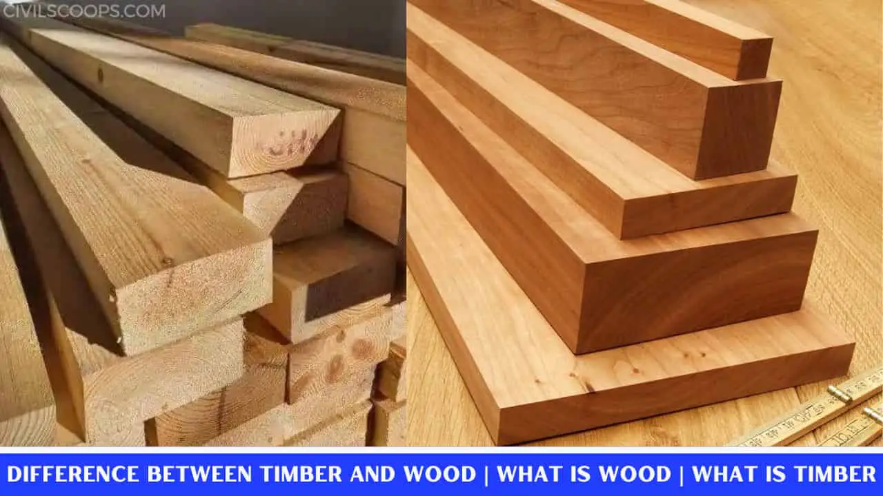 Difference Between Timber And Wood | What is Wood | What is Timber