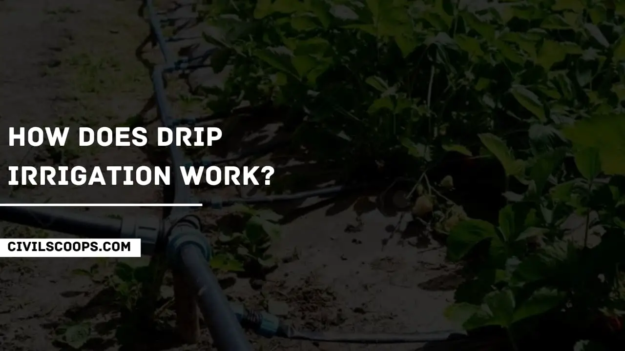How does Drip Irrigation Work