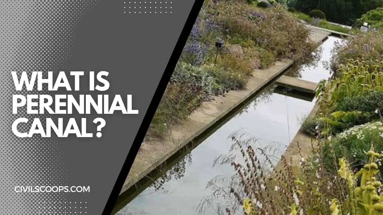 What Is Perennial Canal?