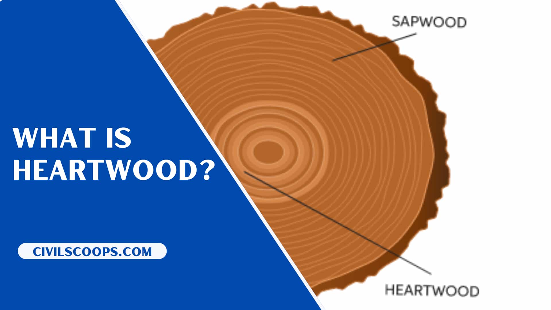What Is Heartwood