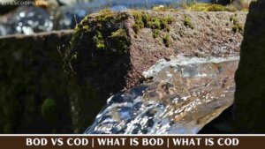BOD Vs COD | What Is BOD | What Is COD