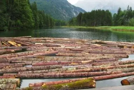 Water Seasoning of Timber