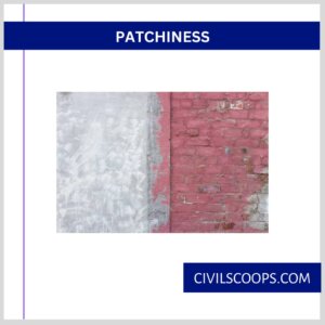 Patchiness