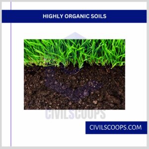 Highly Organic Soils
