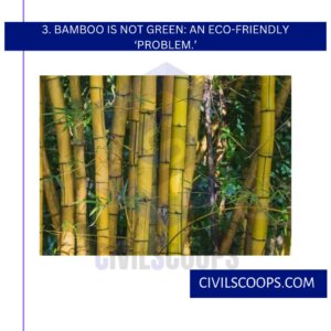 3. Bamboo Is Not Green: an Eco-Friendly ‘Problem.’