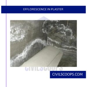 Efflorescence in Plaster