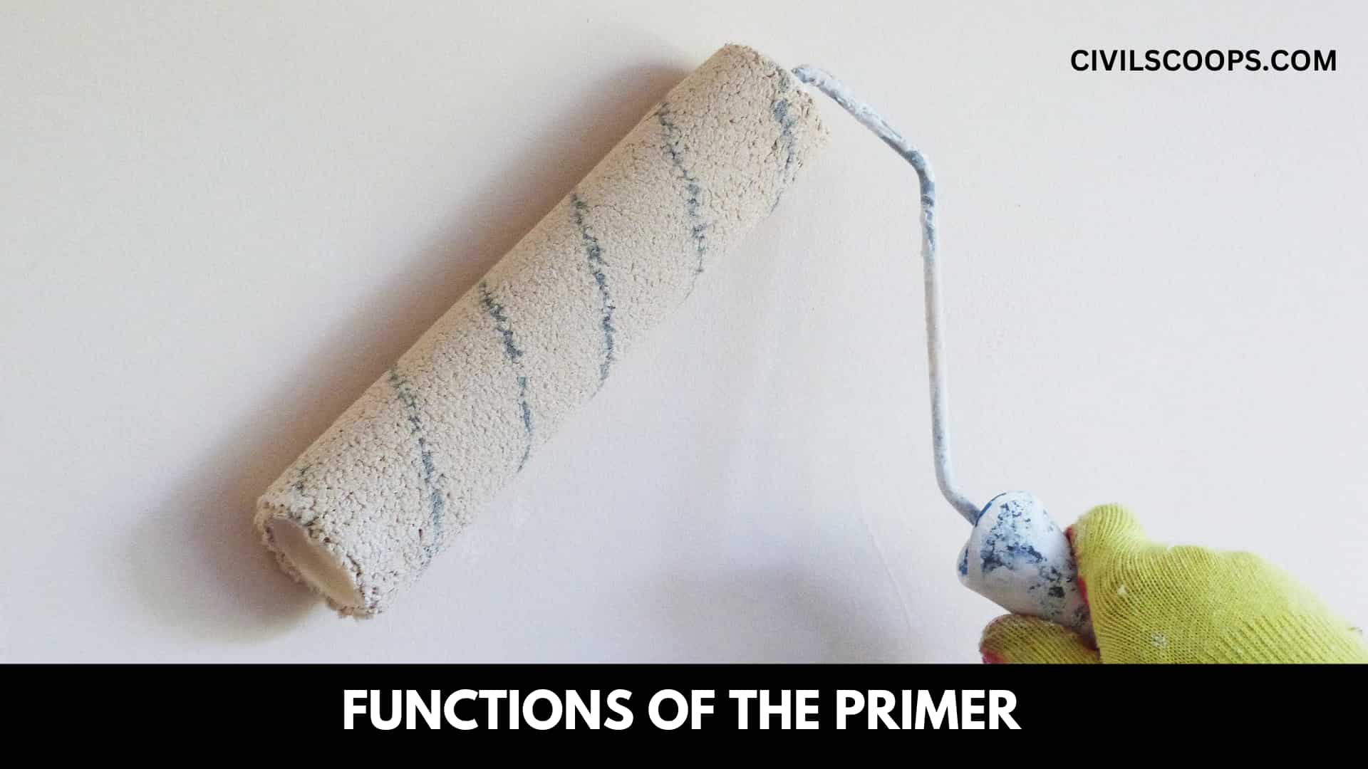 Functions of the Primer