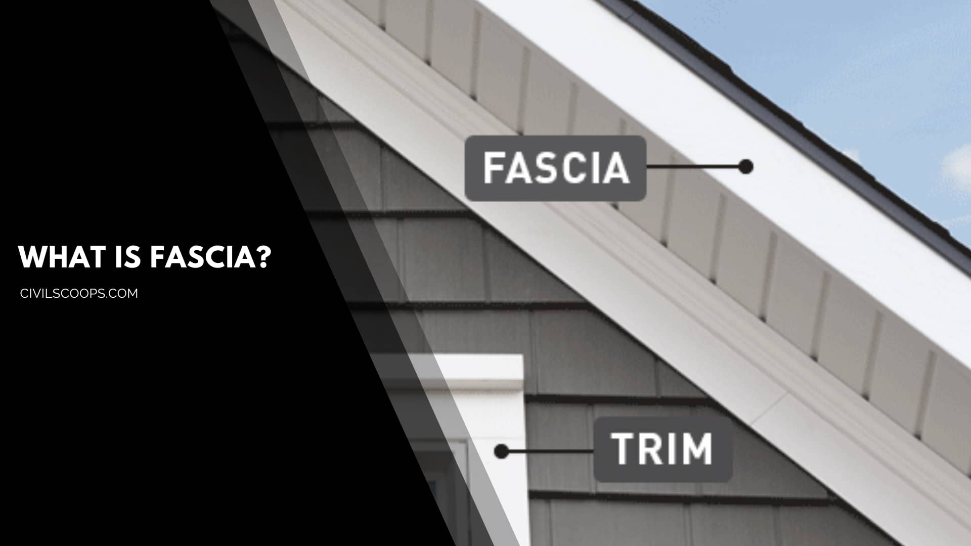 What Is Fascia