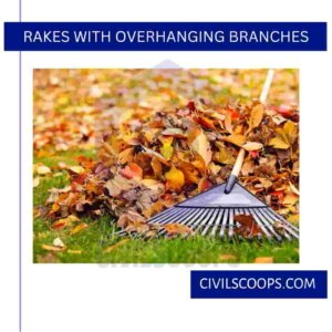Rakes with Overhanging Branches