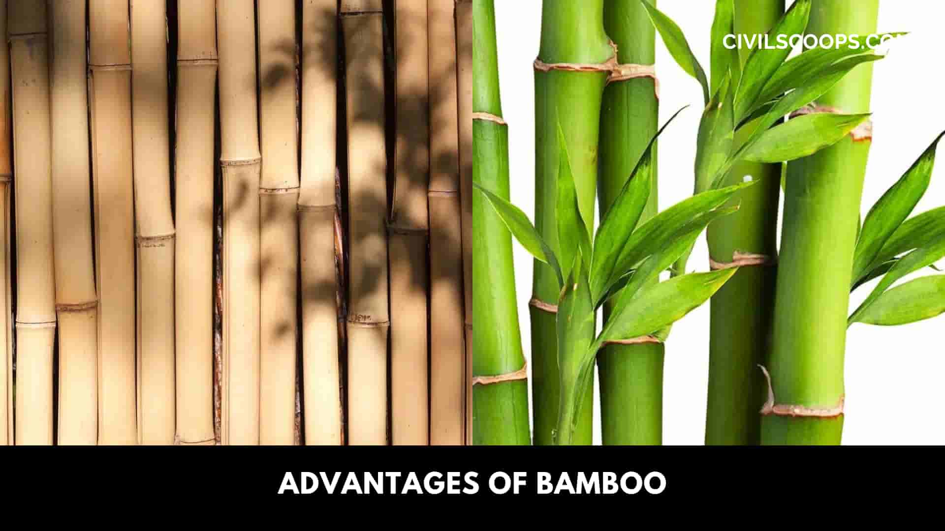 Advantages of Bamboo