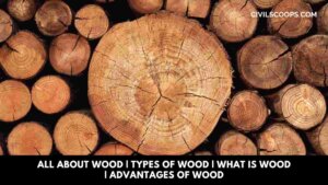 All About Wood | Types of Wood | What Is Wood | Advantages of Wood