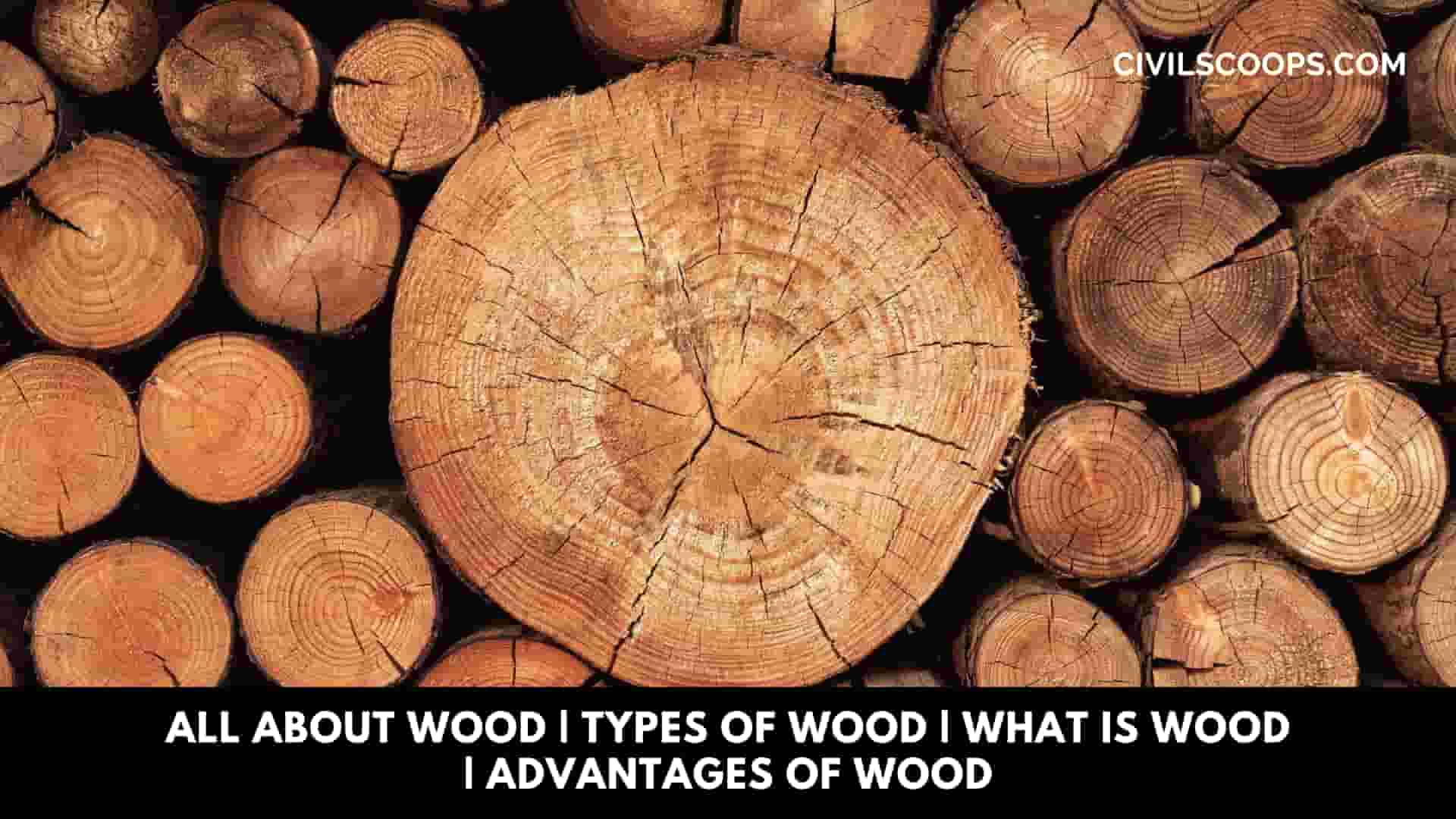 All About Wood | Types of Wood | What Is Wood | Advantages of Wood