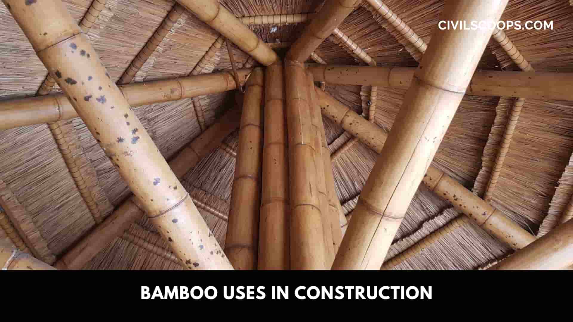Bamboo Uses in Construction