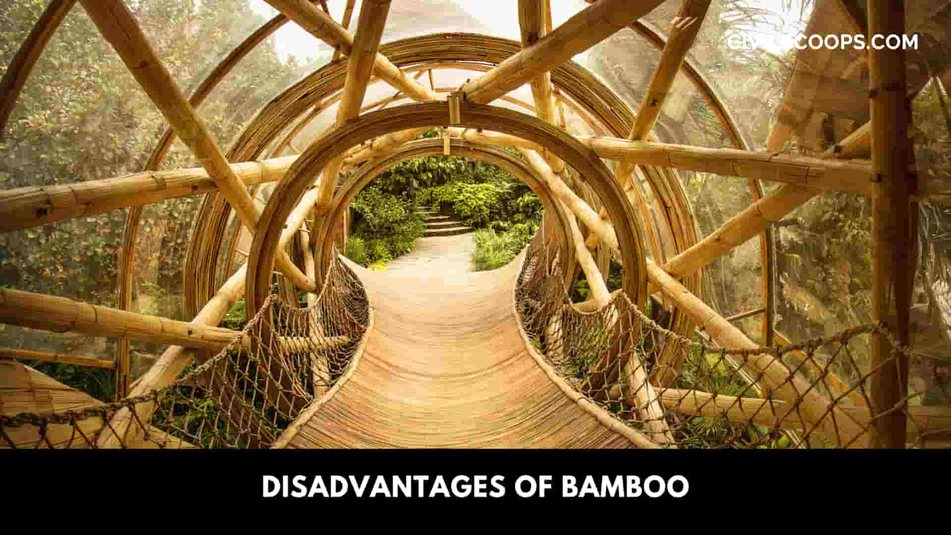 Disadvantages of Bamboo