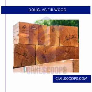 Douglas Fir Wood 