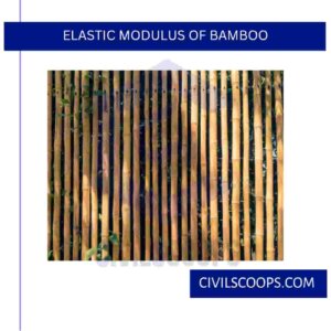 Elastic Modulus of Bamboo 