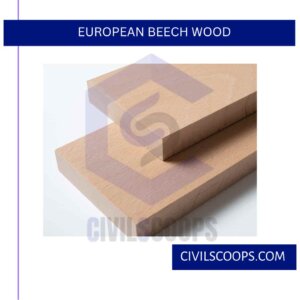 European Beech Wood