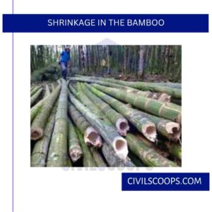 Shrinkage in the Bamboo