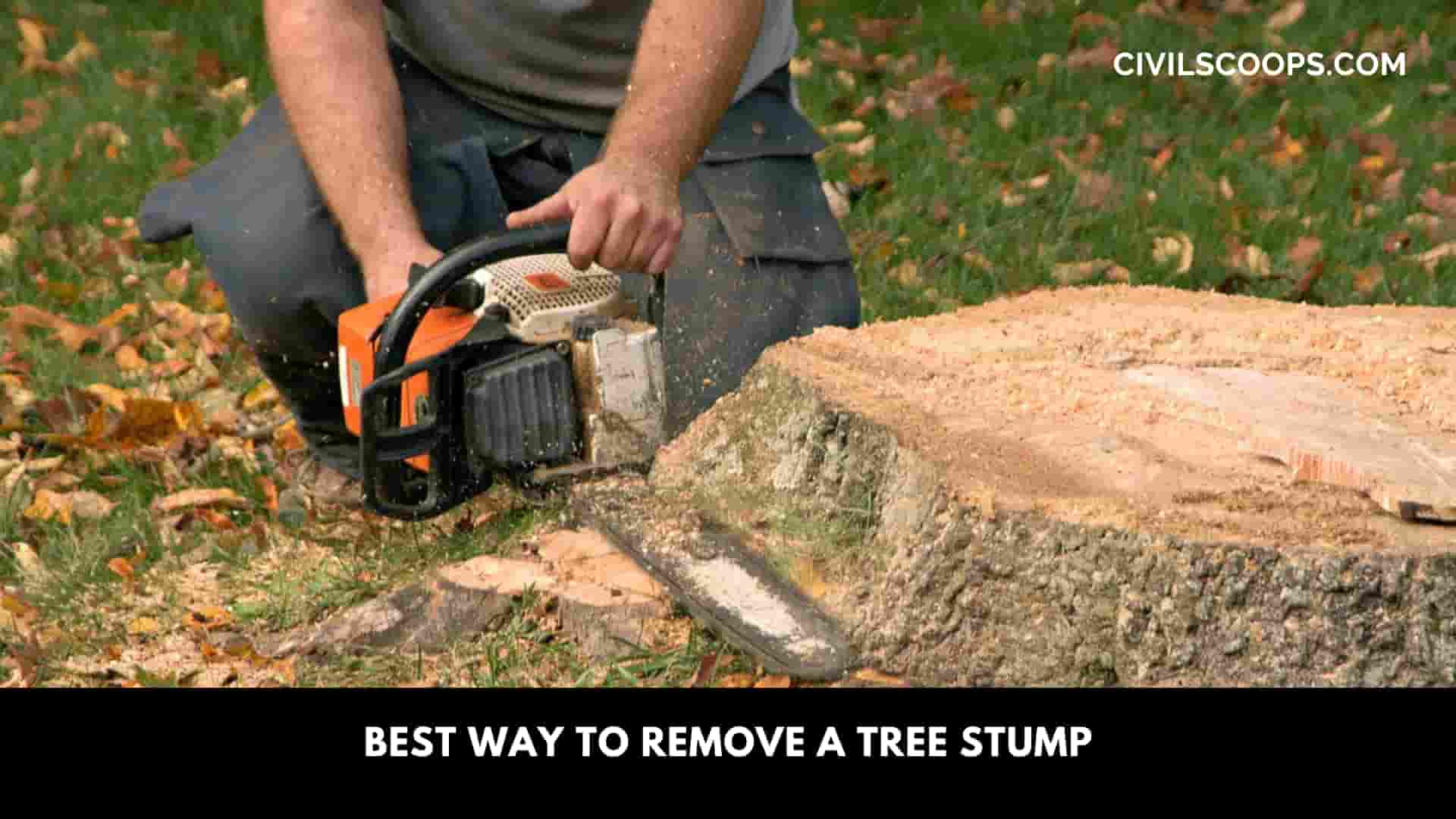 Best Way to Remove a Tree Stump