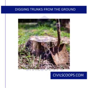 Digging Trunks from the Ground