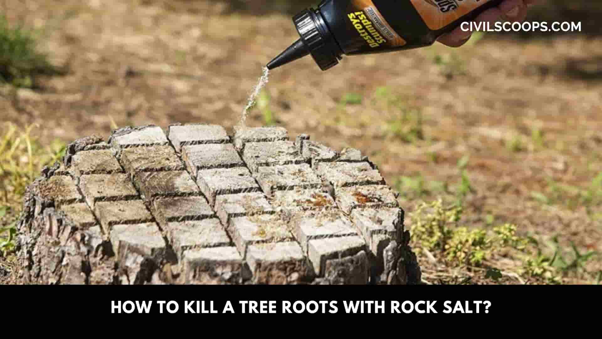 How to Kill a Tree Roots with Rock Salt?