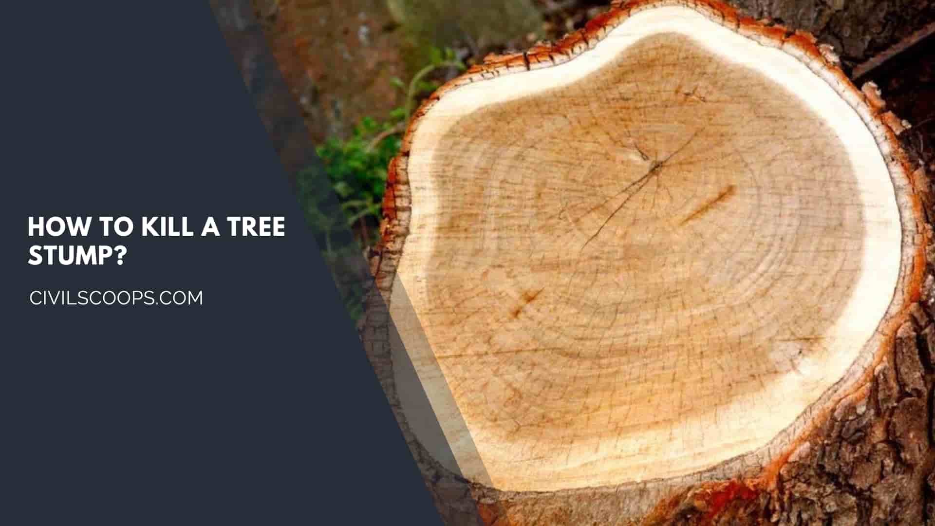 How to Kill a Tree Stump?