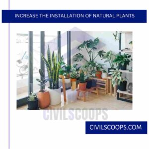 Increase the Installation of Natural Plants 