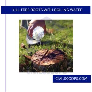 Kill Tree Roots with Boiling Water