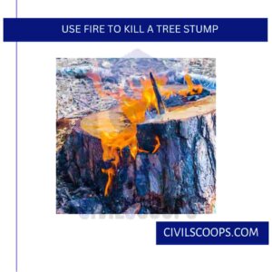 Use Fire to Kill a Tree Stump