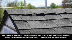 Hail Damage to Asphalt Shingles | Introduction of Hail Damage to Asphalt Shingles | What Is Hail and How Does It Damage the Asphalt Shingles
