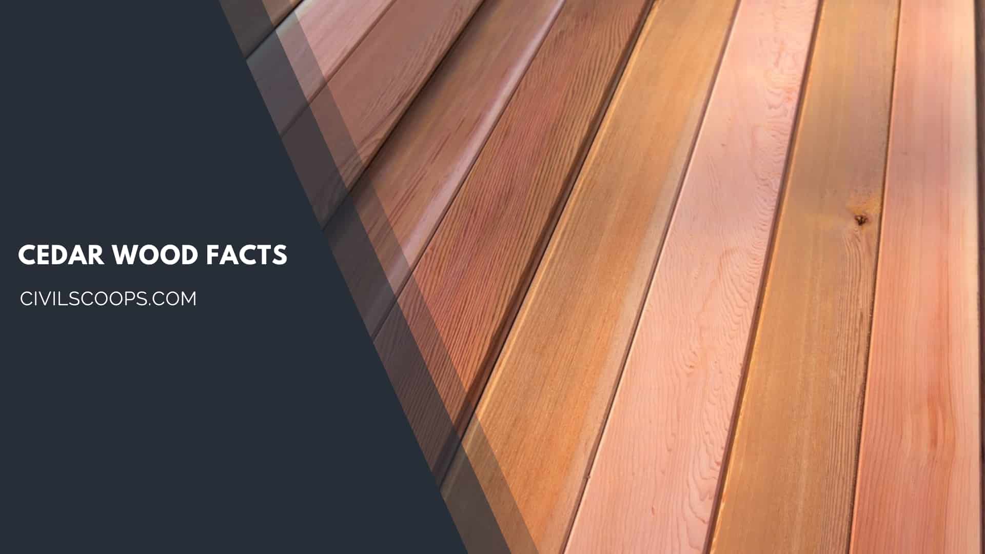 Cedar Wood Facts