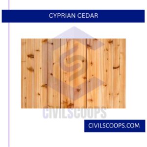 Cyprian Cedar