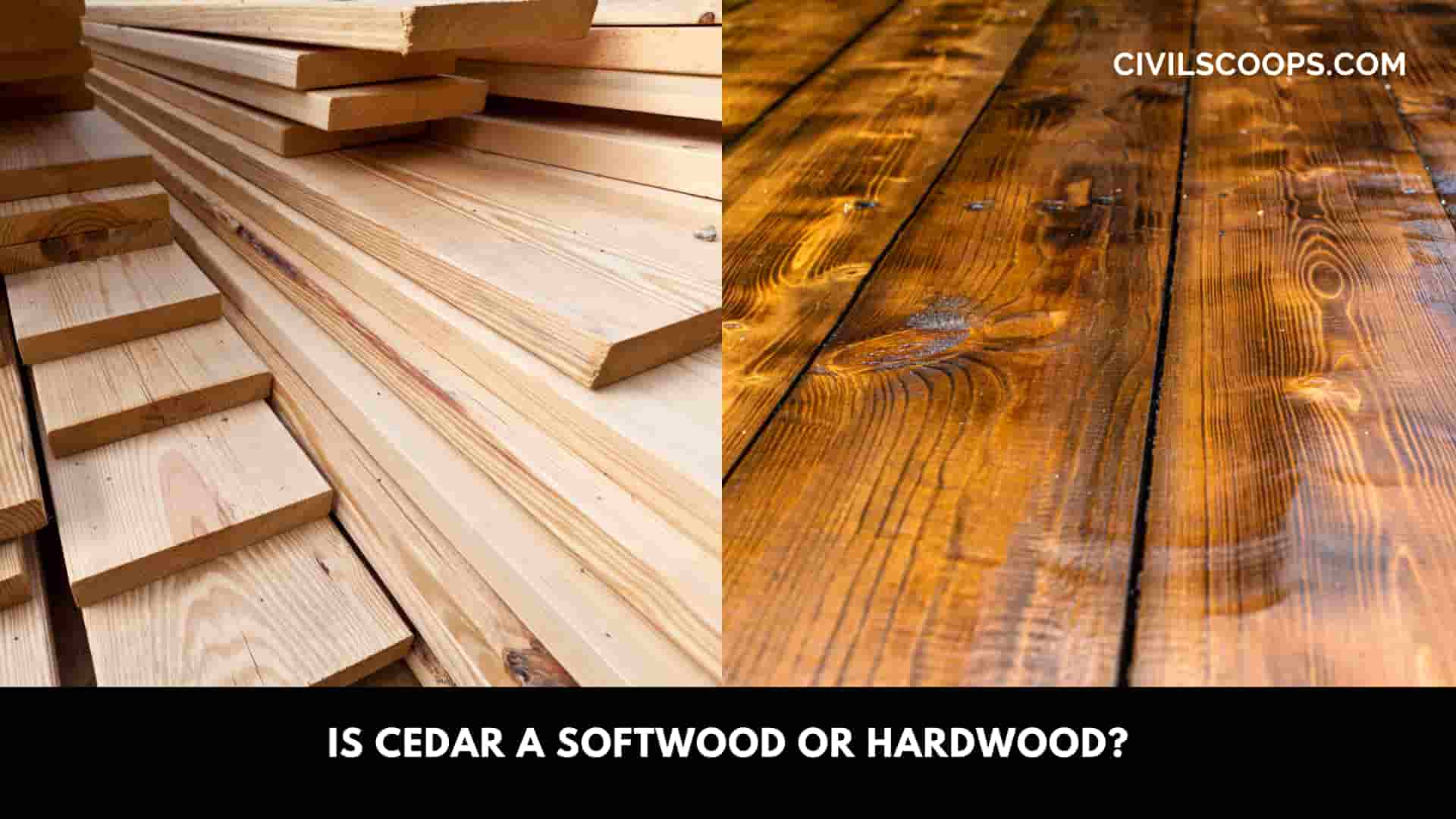 Is Cedar a Softwood or Hardwood?