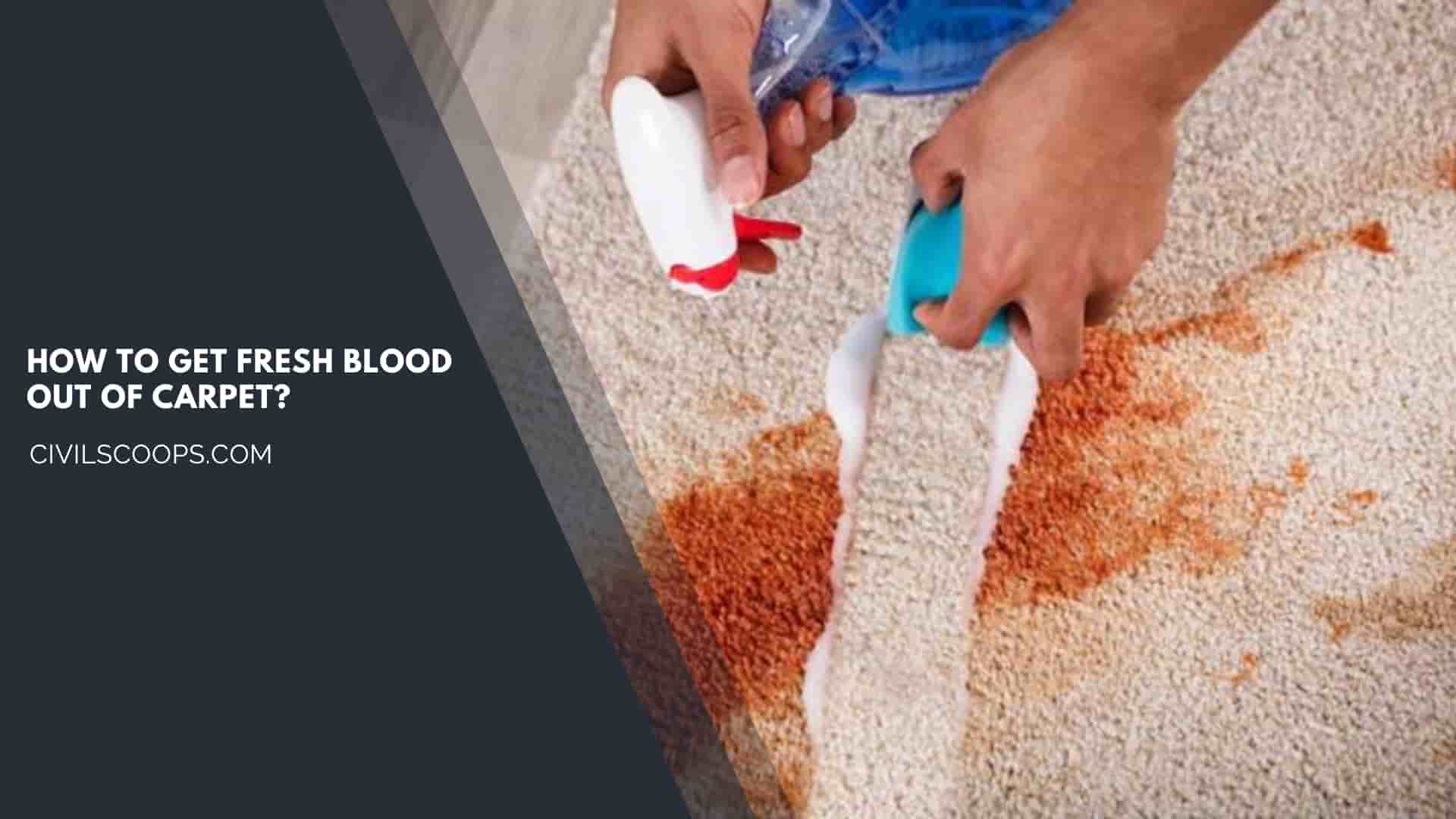 How to Get Fresh Blood Out of Carpet?
