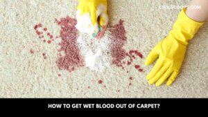 How to Get Wet Blood Out of Carpet?